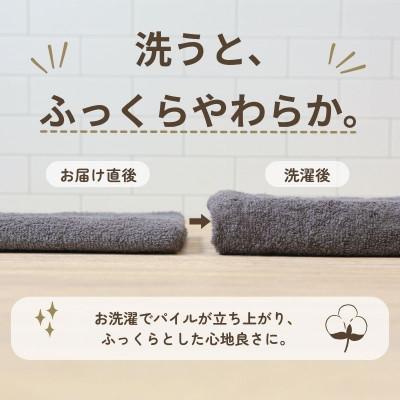 ふるさと納税 泉佐野市 デイリーフェイスタオル 10枚セット(ダークグレー) |  | 02