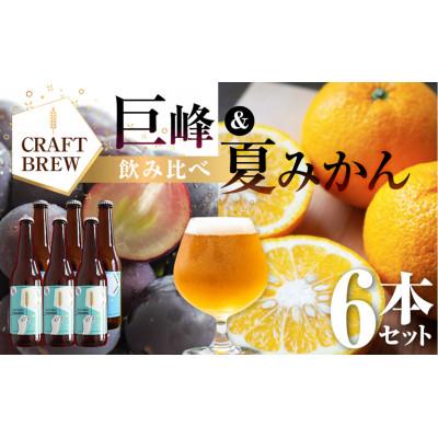 ふるさと納税 豊橋市 クラフトビール『DAMONDE』巨峰・夏みかん(2種6本セット)