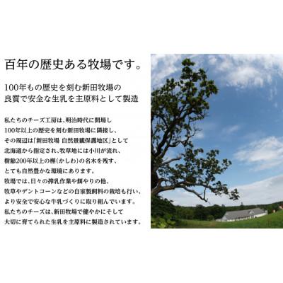 ふるさと納税 幕別町 カチョカバロ 200g×2個 チーズ工房NEEDS[53691327] |  | 03