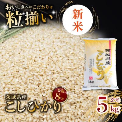 ふるさと納税 下妻市 [令和8年産先行受付]玄米 コシヒカリ 5kg 茨城県下妻市産