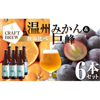 ふるさと納税 豊橋市 クラフトビール『DAMONDE』 巨峰 温州みかん(2種6本 セット)