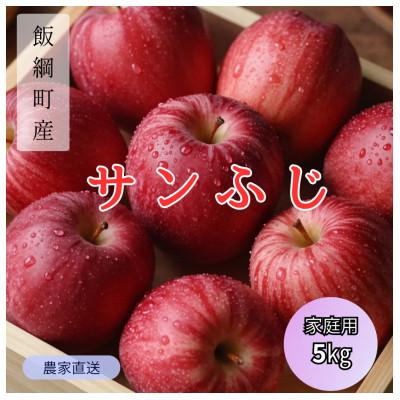 ふるさと納税 飯綱町 りんご サンふじ 家庭用 2026年12月上旬より順次発送 5kg
