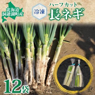 ふるさと納税 洞爺湖町 北海道産 洞爺湖近郊 長ねぎ 1/2本×12袋 小分け カット済