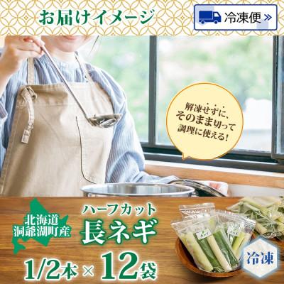 ふるさと納税 洞爺湖町 北海道産 洞爺湖近郊 長ねぎ 1/2本×12袋 小分け カット済 |  | 03