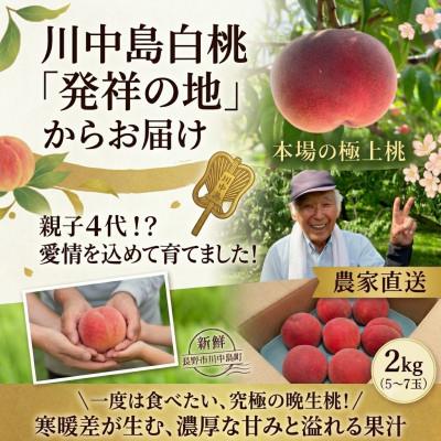 ふるさと納税 長野市 川中島産 川中島白桃 2kg(5〜7玉)