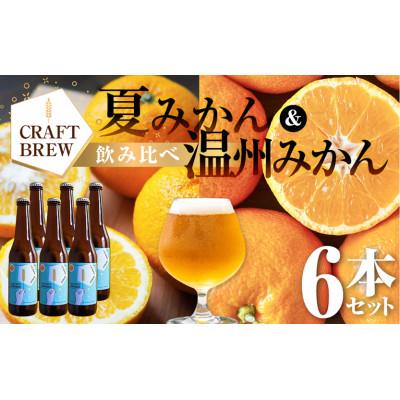 ふるさと納税 豊橋市 クラフトビール『DAMONDE』夏みかん・温州みかん(2種6本セット)