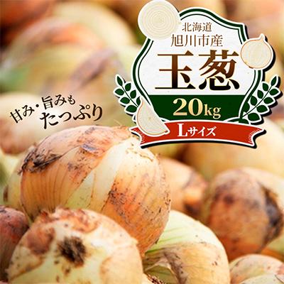 ふるさと納税 旭川市 [農家直送][低農薬]北海道産玉ねぎ20kg(Lサイズ)旭川産_タマネギ_玉葱_たまねぎ_05935