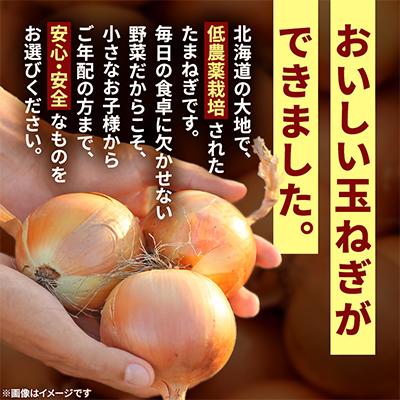ふるさと納税 旭川市 【農家直送】【低農薬】北海道産玉ねぎ20kg(Lサイズ)旭川産_タマネギ_玉葱_たまねぎ_05935 |  | 02