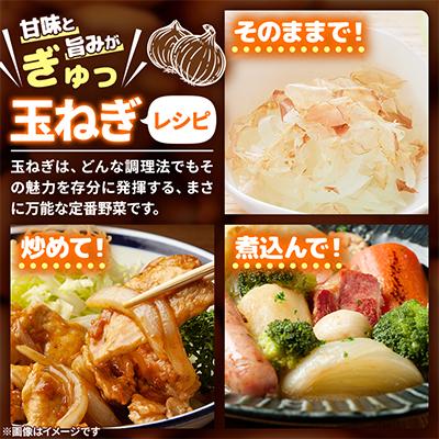 ふるさと納税 旭川市 【農家直送】【低農薬】北海道産玉ねぎ20kg(Lサイズ)旭川産_タマネギ_玉葱_たまねぎ_05935 |  | 03