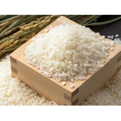ふるさと納税 生坂村 [生坂村産]コシヒカリ 無洗米(精米) 5kg(1袋)