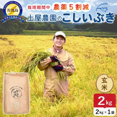 ふるさと納税 佐渡市 [新米予約]令和8年産 佐渡島産こしいぶき 玄米2kg 土屋農園 農家直送 栽培期間中農薬5割減