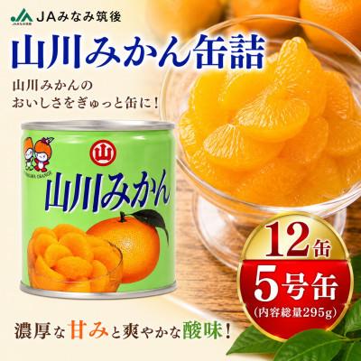 ふるさと納税 みやま市 山川みかん缶詰 12缶セット JAみなみ筑後からお届け!(みやま市)