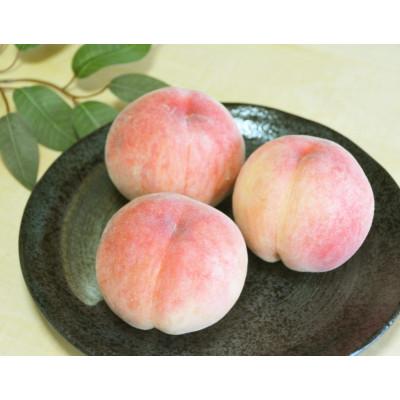 ふるさと納税 小諸市 もも 約2kg 約5〜7玉(あかつき、なつっこ、黄金桃のおまかせ)
