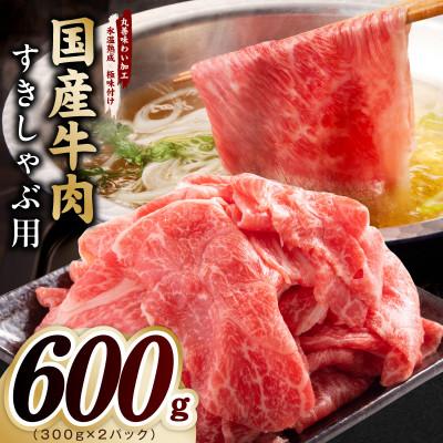 ふるさと納税 泉佐野市 国産牛肉 すきしゃぶ用 600g 氷温熟成×極味付け 300g×2P 訳あり