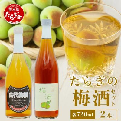 ふるさと納税 多良木町 たらぎ梅酒セット 古代梅酒720ml 梅酒文蔵720ml