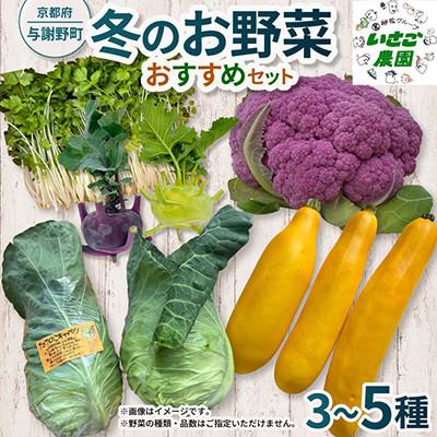 ふるさと納税 与謝野町 [2027年1月中旬以降順次発送]冬のお野菜 おすすめセット(3〜5種)[京都府与謝野町]