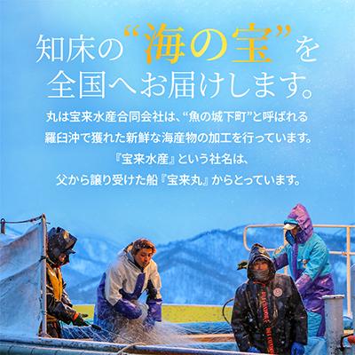 ふるさと納税 羅臼町 北海道知床羅臼産　たこのブツ切り　1kg(500g×2パック) |  | 03