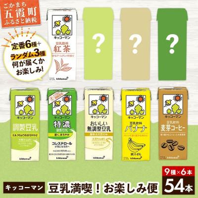 ふるさと納税 五霞町 [合計200ml×54本]キッコーマン豆乳満喫!お楽しみ便 / 飲料
