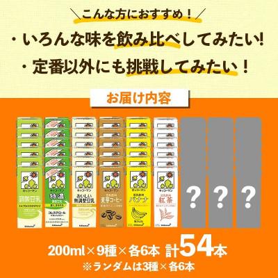 ふるさと納税 五霞町 【合計200ml×54本】キッコーマン豆乳満喫!お楽しみ便 / 飲料 |  | 01