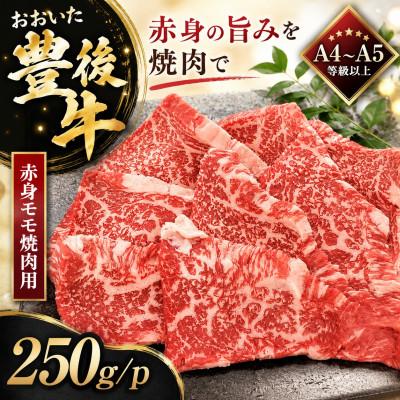 ふるさと納税 竹田市 [A4〜A5]おおいた豊後牛赤身モモ焼肉用 250g/p(竹田市)