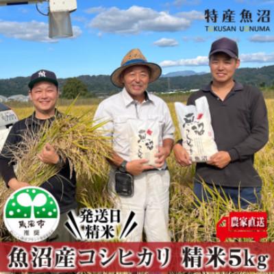 ふるさと納税 魚沼市 [令和8年産先行受付]農家直送 魚沼産コシヒカリ 精米5Kg [特産魚沼]