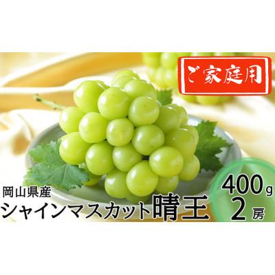 ふるさと納税 玉野市 岡山県産 2026年発送 ご家庭用 シャインマスカット 晴王 約400g×2房 計800g