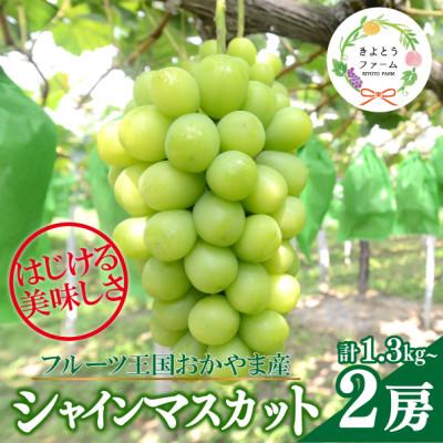ふるさと納税 新見市 [数量限定]シャインマスカット 大サイズ 2房入/計1.3kg〜(岡山県産) 贈答にもおすすめ!