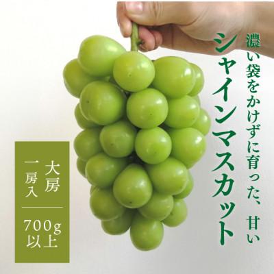 ふるさと納税 新見市 [きよとうファーム][数量限定]大粒シャインマスカット厳選品1房 /700g以上(岡山県産)