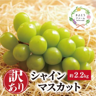 ふるさと納税 新見市 [訳あり]シャインマスカット ご家庭用/約2.2kg (岡山県産) 食べ応え満足便!