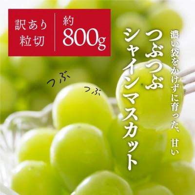 ふるさと納税 新見市 粒切りで食べやすい!甘〜いシャインマスカット/約800g (岡山県産)