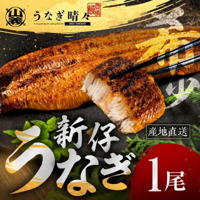 ふるさと納税 豊橋市 『うなぎ晴々』希少な若うなぎ 蒲焼1尾 国産 養殖場直送 ふっくら やわらか