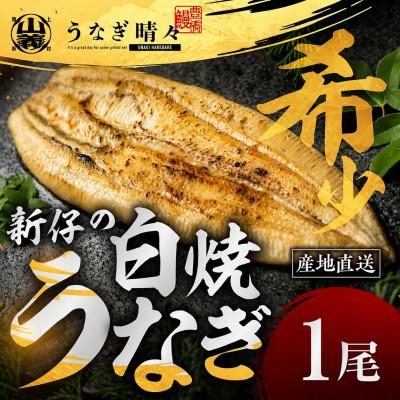 ふるさと納税 豊橋市 『うなぎ晴々』希少な若うなぎ 白焼1尾 国産 養殖場直送 ふっくら やわらか
