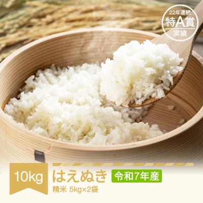 ふるさと納税 村山市 令和7年産 はえぬき 10kg 精米 | 