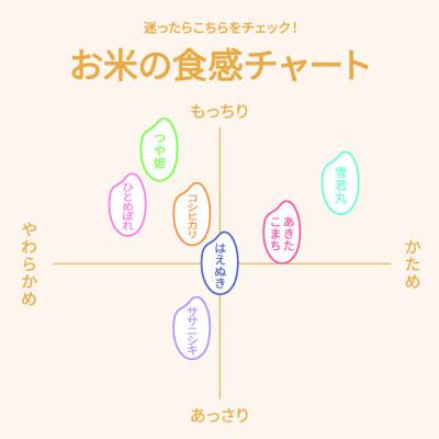 ふるさと納税 村山市 令和7年産 はえぬき 10kg 無洗米 |  | 02