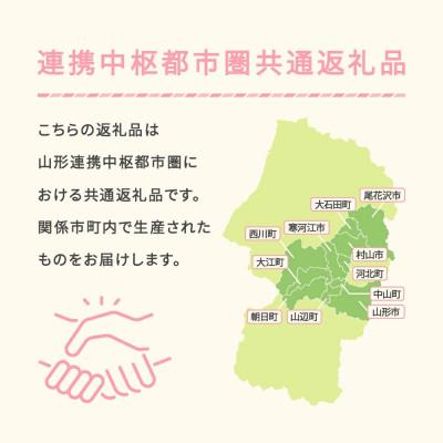 ふるさと納税 村山市 令和7年産 はえぬき 10kg 無洗米 |  | 03