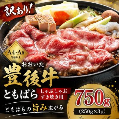 ふるさと納税 竹田市 訳あり![A4〜A5]おおいた豊後牛ともばらしゃぶしゃぶすき焼き用 750g(竹田市)