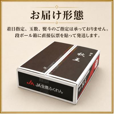 ふるさと納税 大木町 【2026年10月下旬〜11月発送】秋王 計約3.5kg |  | 03