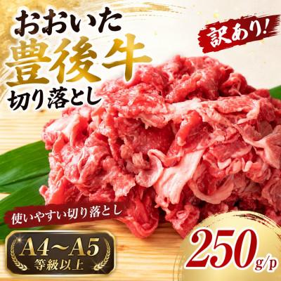 ふるさと納税 豊後大野市 [A4〜A5]訳あり!おおいた豊後牛切り落とし 250g/1p(豊後大野市)