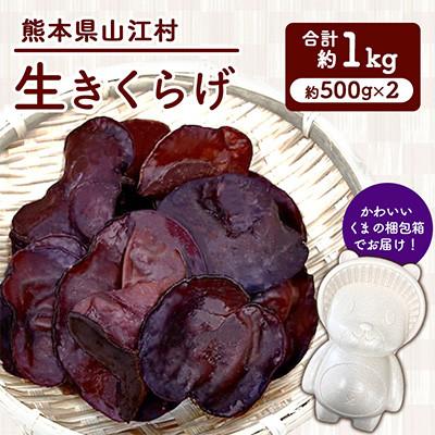 ふるさと納税 山江村 生きくらげ 約1kg