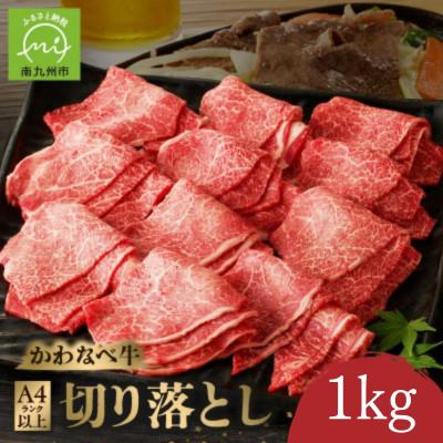 ふるさと納税 南九州市 かわなべ牛 切り落とし 約1kg