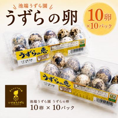 ふるさと納税 玉名市 池端うずら園 うずらの卵「うずらの恵」10卵×10パック