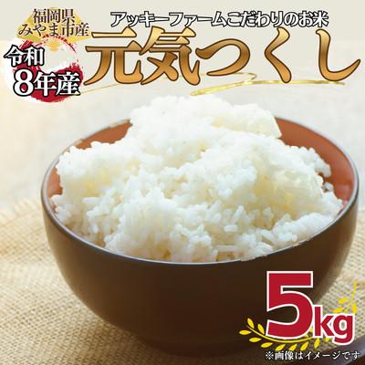 ふるさと納税 みやま市 [令和8年産]アッキーファームのお米「元気つくし」 5kg 白米