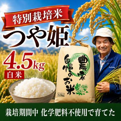 ふるさと納税 酒田市 ◆新米予約◆[特別栽培米]つや姫 精米4.5kg|栽培期間中 化学肥料不使用 精米仕立て 令和8年産