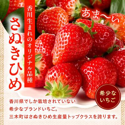 ふるさと納税 三木町 訳あり 苺音クラフト〜加工用さぬきひめいちご約2kg[2027年5月配送]