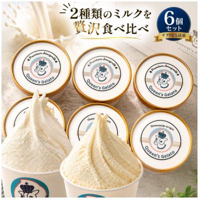 ふるさと納税 庄原市 ミルクの味わい比べセット 100ml×6個(2種×各3個)[Queen's Gelato]