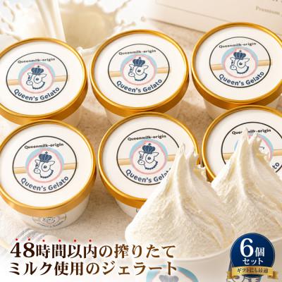 ふるさと納税 庄原市 オールミルク 100ml×6個[Queen's Gelato]