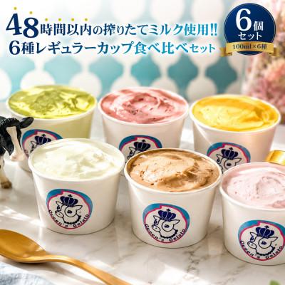 ふるさと納税 庄原市 レギュラーカップ 6個 アソートセット(6種×各1個)[Queen's Gelato]