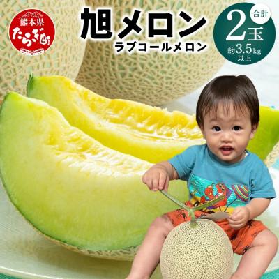 ふるさと納税 多良木町 [先行予約]旭メロン(品種:ラブコールメロン)」2玉 (多良木町)