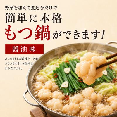 ふるさと納税 太宰府市 【本場福岡】もつ鍋セット 醤油味10人前(太宰府市) |  | 01