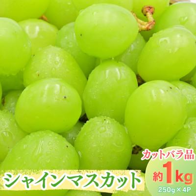 ふるさと納税 飯豊町 シャインマスカット 粒 カットバラ品 約1kg(250g×4P)山形県飯豊町産